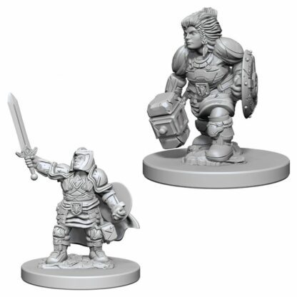 Nolzurs - Dwarf Female Paladin