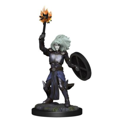 Nolzurs - Changeling Cleric - Image 3